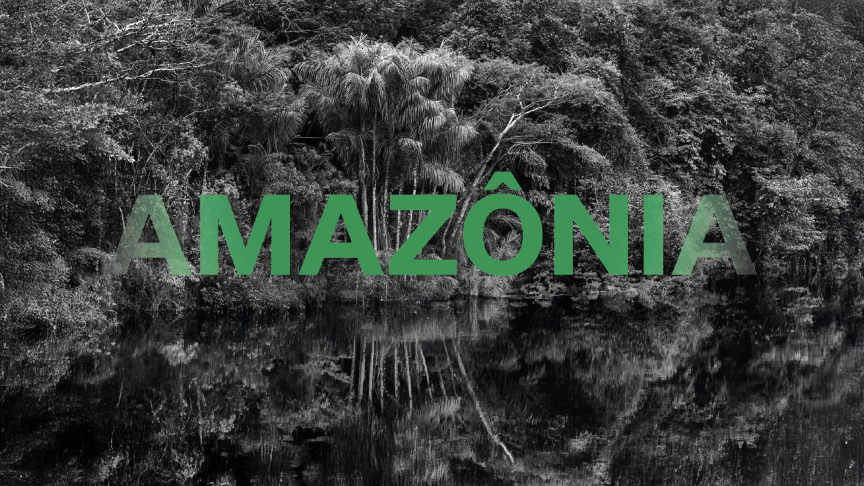 hero_image_dschungel